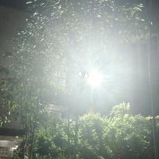 惹我没有下场