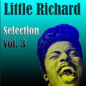 Little Richard - Selection Vol. 3专辑