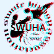 西南财经大学 SWUHA 19TEAM Cypher