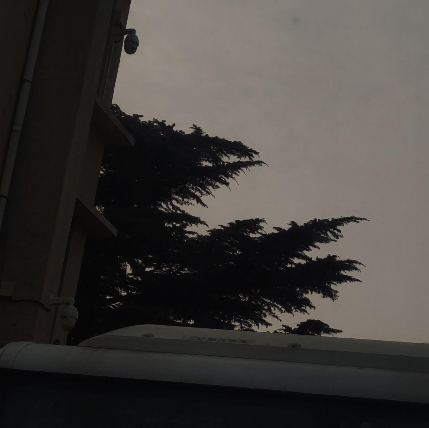 无上虚皇至真三宝(十二者)