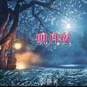 南北组合(吉萍)-明月夜 (DJ何友版）