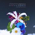 Life’s A Flower