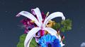 Life’s A Flower专辑