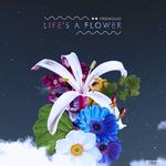 Life’s A Flower专辑