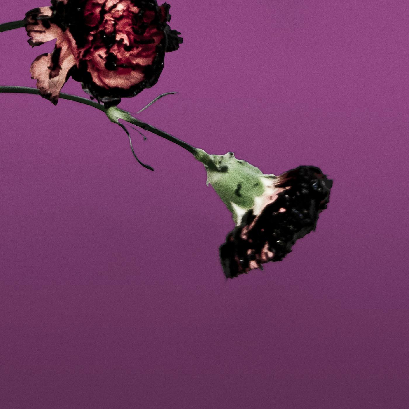 You & I (Nobody in the World) (R3hab Remix - Radio Edit)