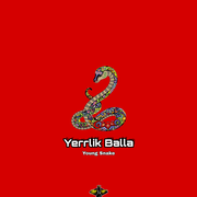 Yerlik Balla