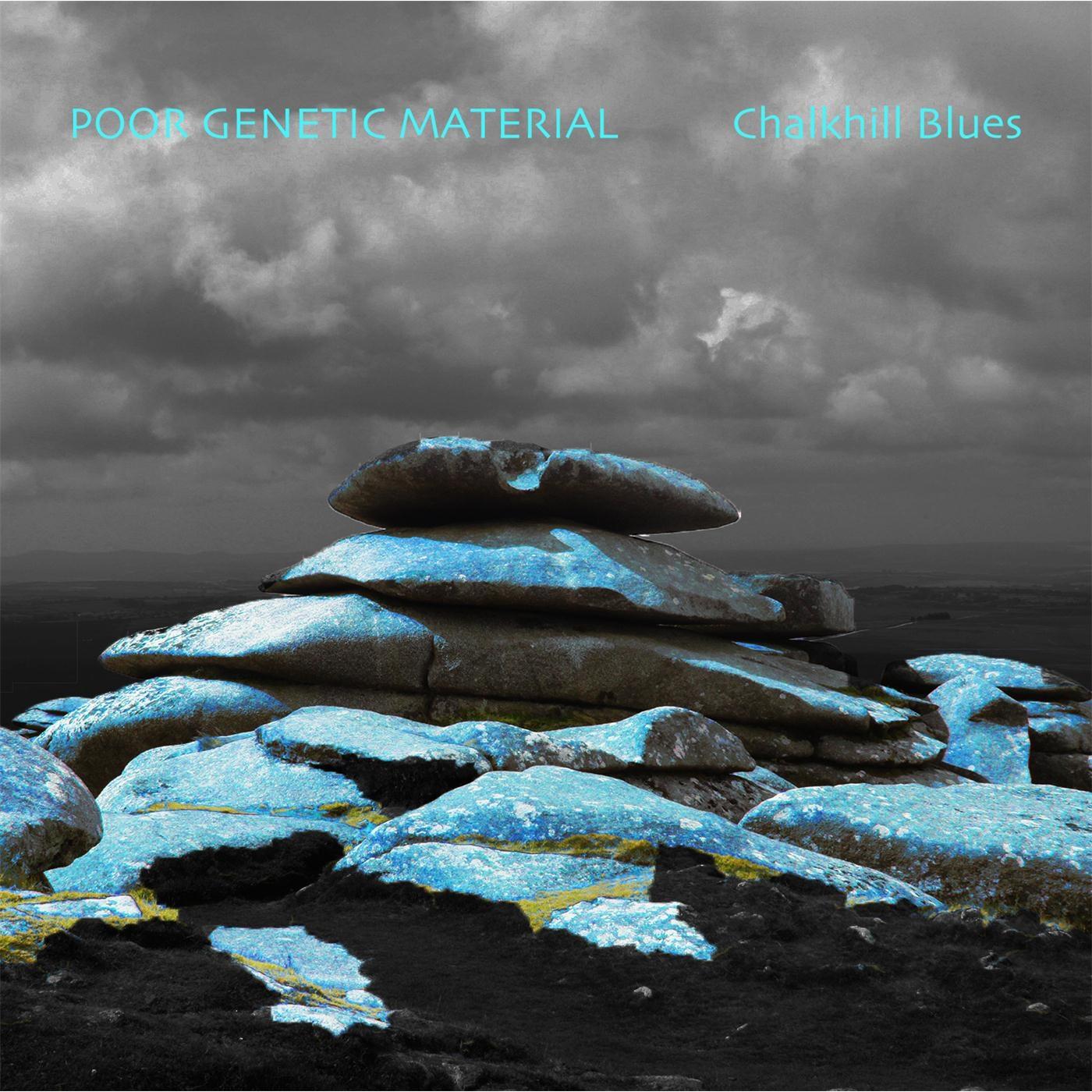 Chalkhill Blues