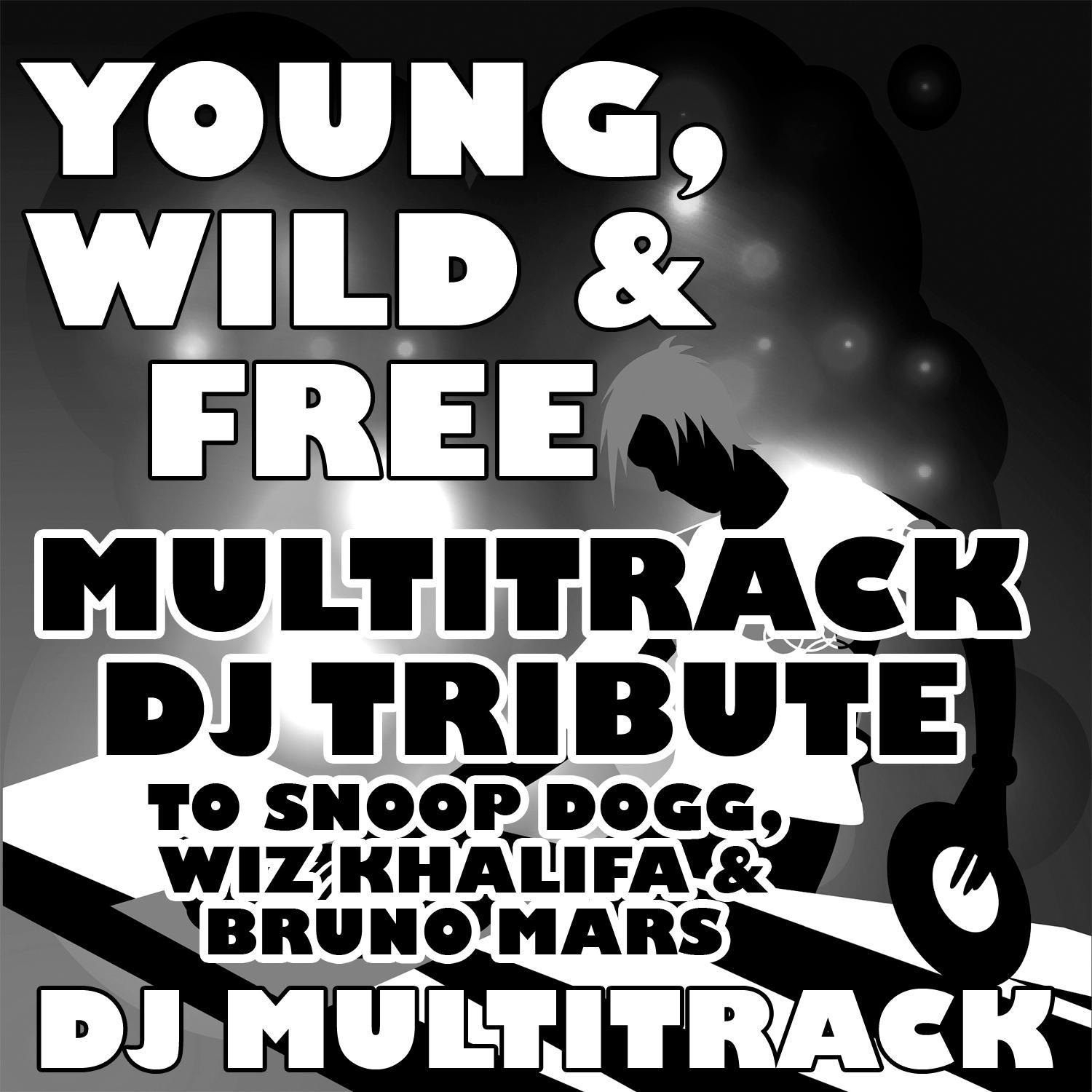 Young, Wild & Free (Multitrack DJ Tribute to Snoop Dogg, Wiz Khalifa & Bruno Mars)专辑