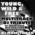 Young, Wild & Free (Multitrack DJ Tribute to Snoop Dogg, Wiz Khalifa & Bruno Mars)专辑