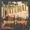 Jesse Terry - Noise (feat. Dar Williams)