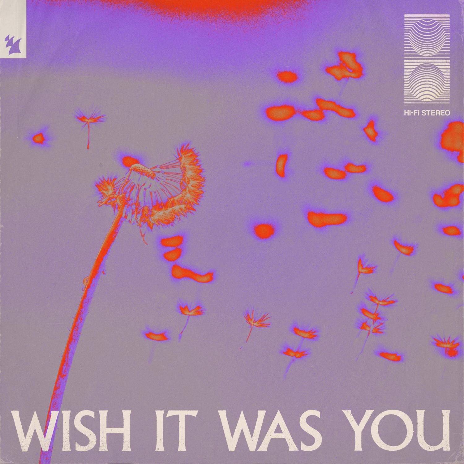 Wish It Was You (Extended Mix)
