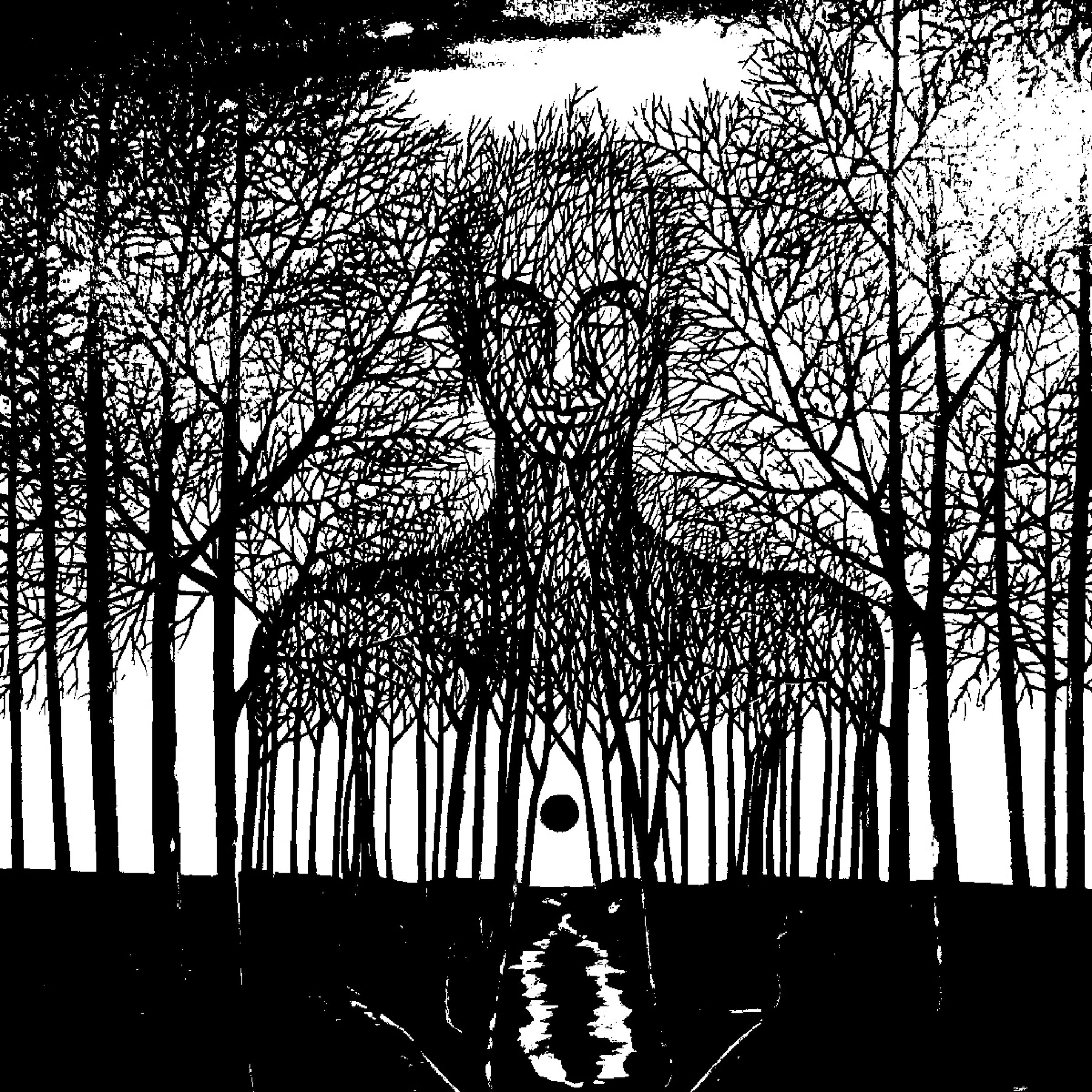 Anima (Bloom's Lost Tribe Remix)