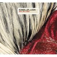 Kings Of Leon-Sex On Fire  立体声伴奏