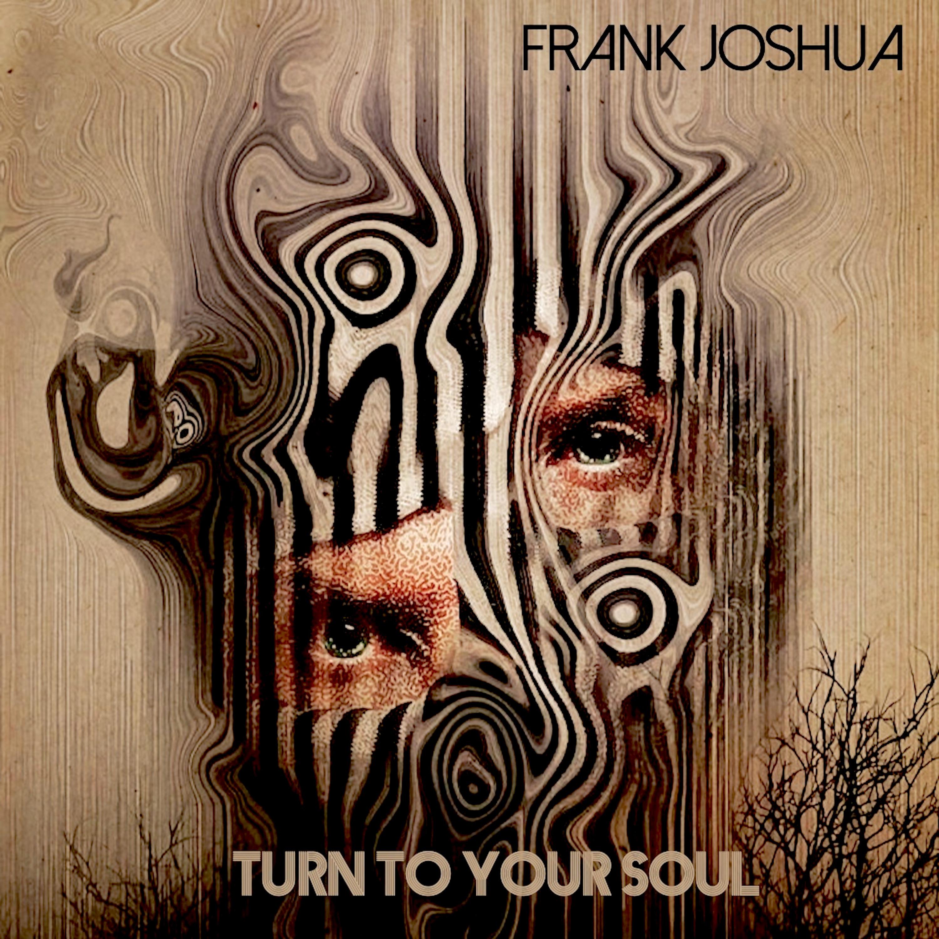 Frank Joshua - Wonderful You