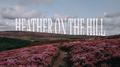 Heather On The Hill专辑