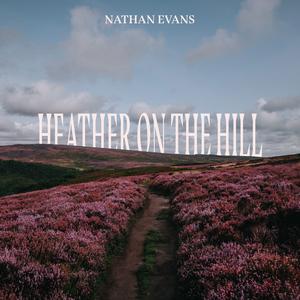 Nathan Evans - Heather On The Hill (Instrumental) 原版无和声伴奏 （升2半音）