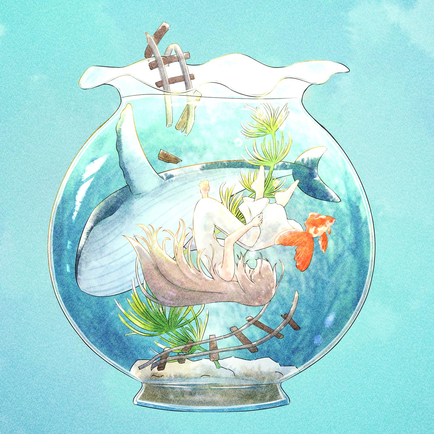 アイデンティティ in the 金魚鉢