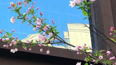程景雾