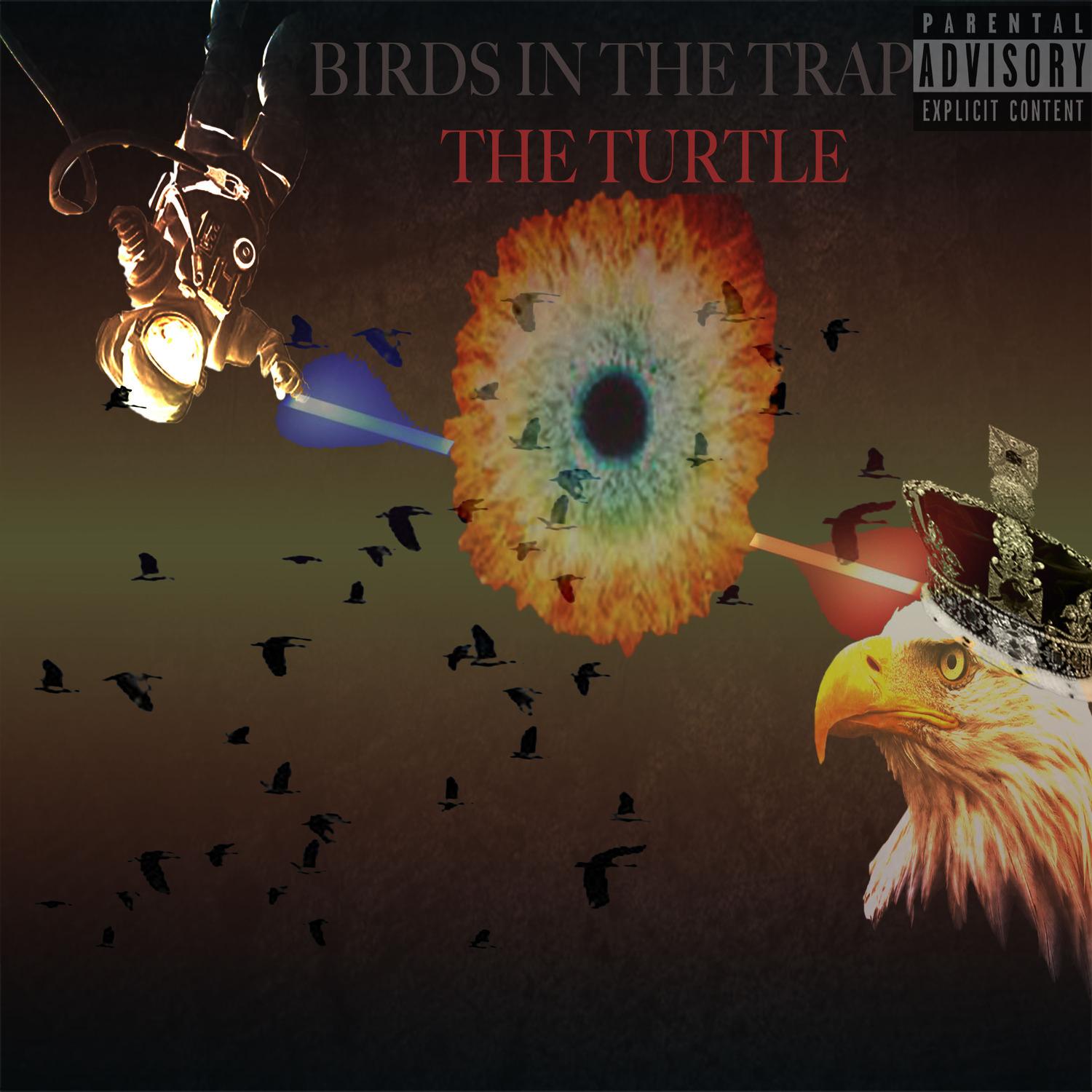 Birds in the Trap