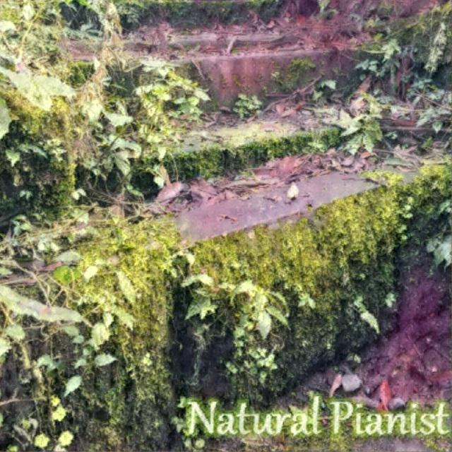 古阶苔痕-Natural Pianist for Spring专辑