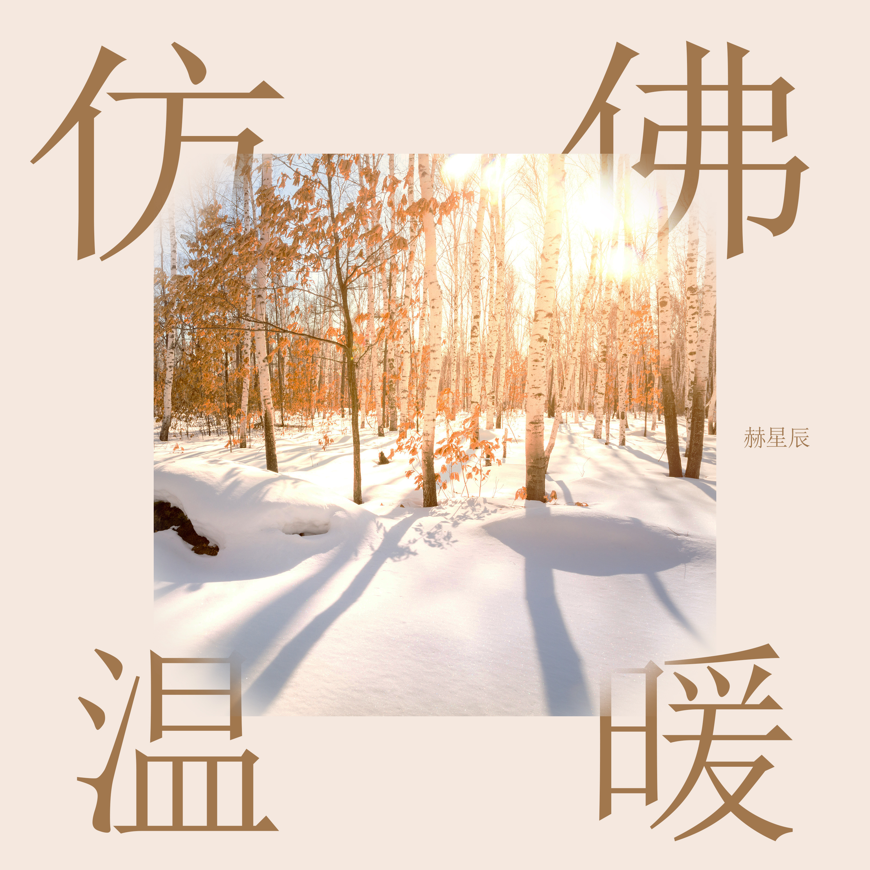 仿佛温暖