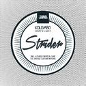 Strider: Remixes专辑