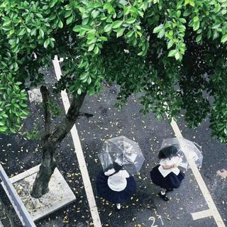夏日未散场 | 致青春的温柔告别