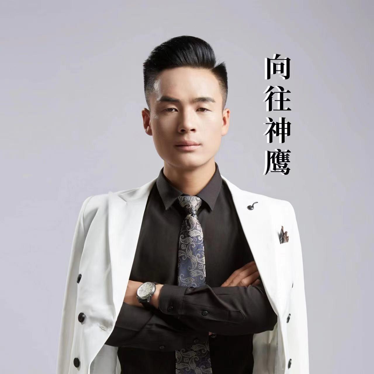 向往神鹰 (DJ何友版）（伴奏）