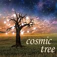 Cosmic Tree