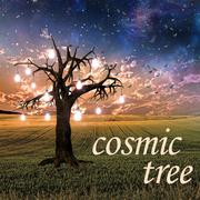 Cosmic Tree