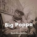 Big Poppa (Remix)