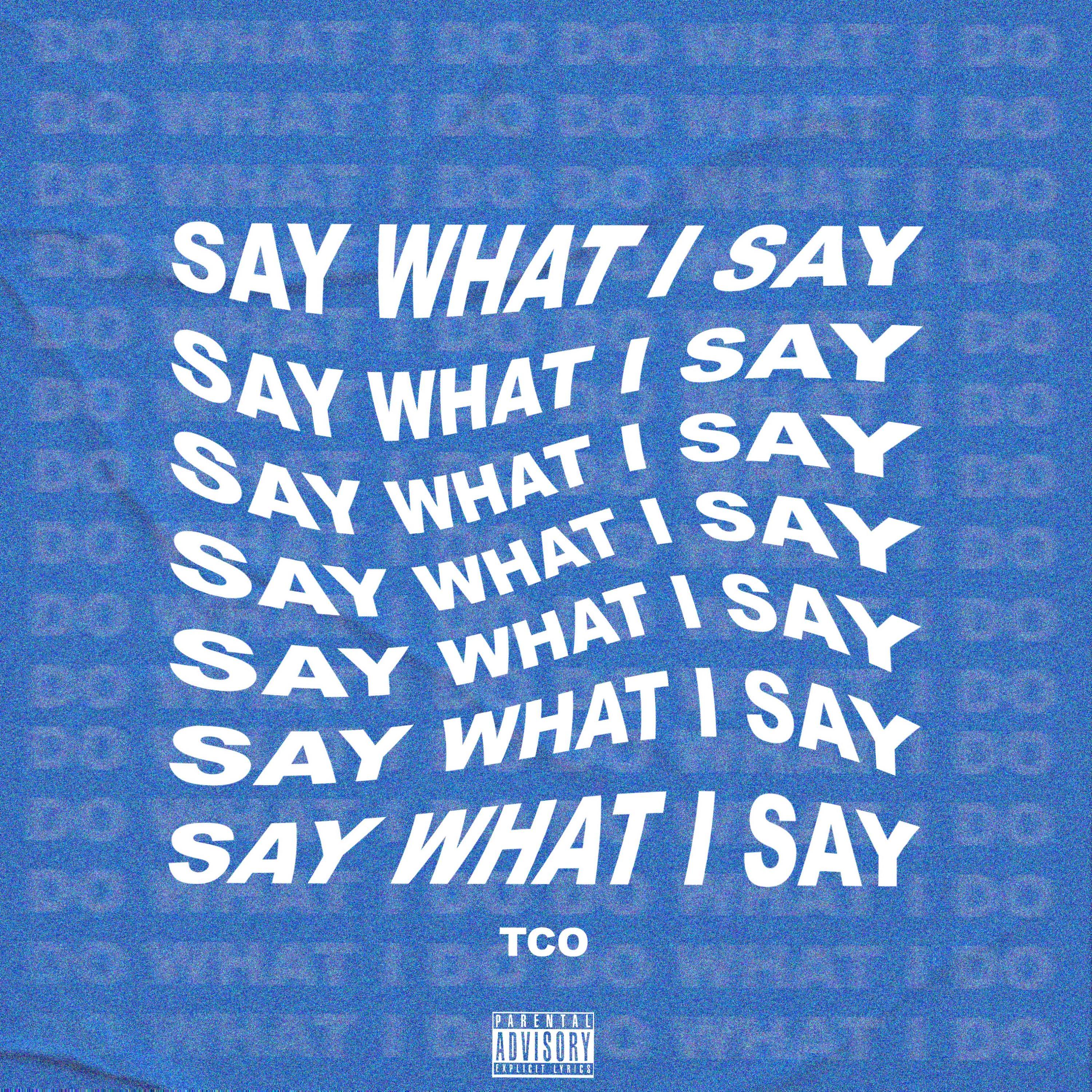 Say What I Say