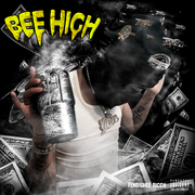 Bee High(Beehive)