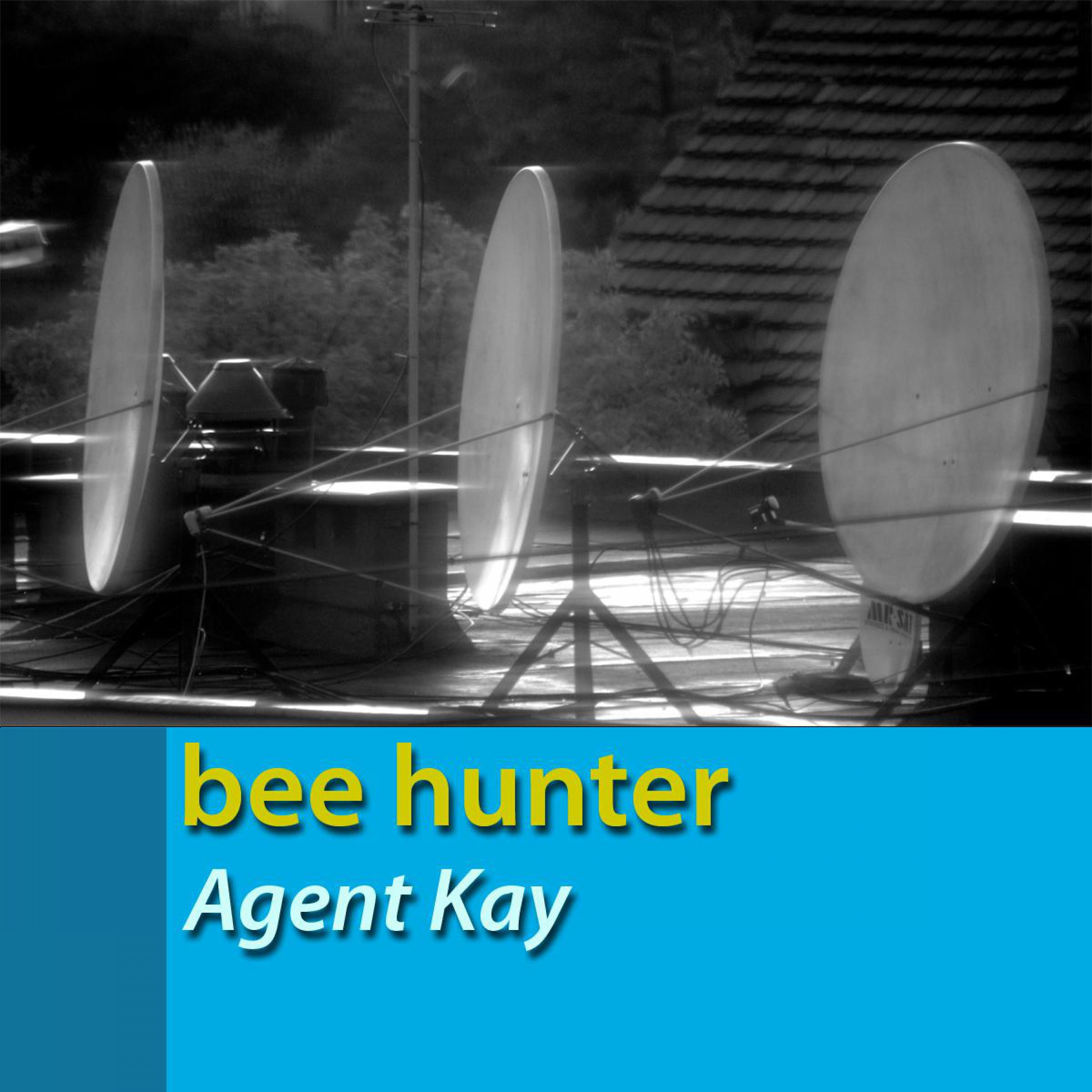 Agent Kay