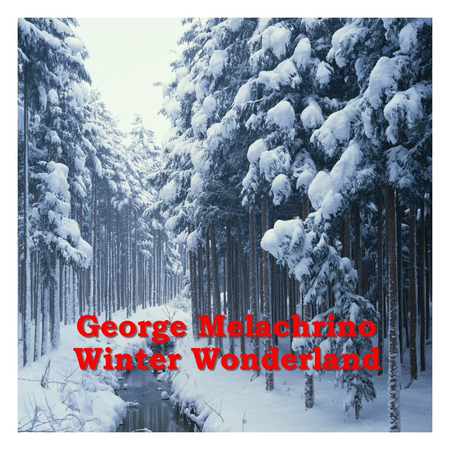 Winter Wonderland