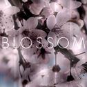 Blossom专辑