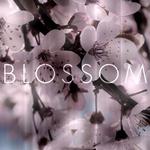 Blossom专辑
