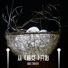 梅坞寻茶