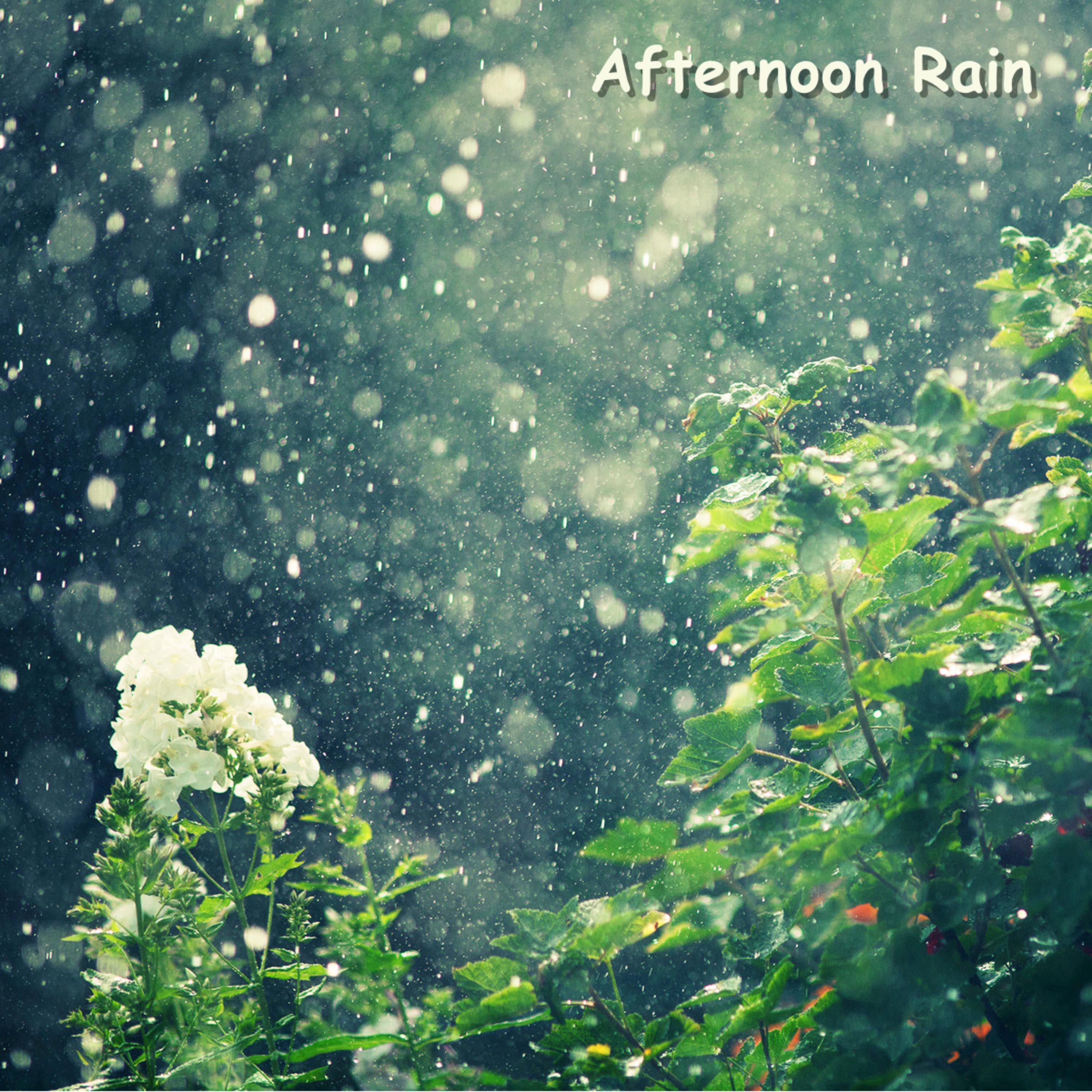 Afternoon Rain专辑