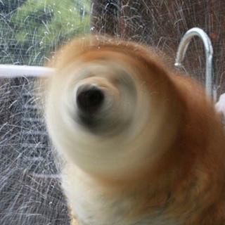 摇就完了