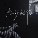 悲伤剧情专辑