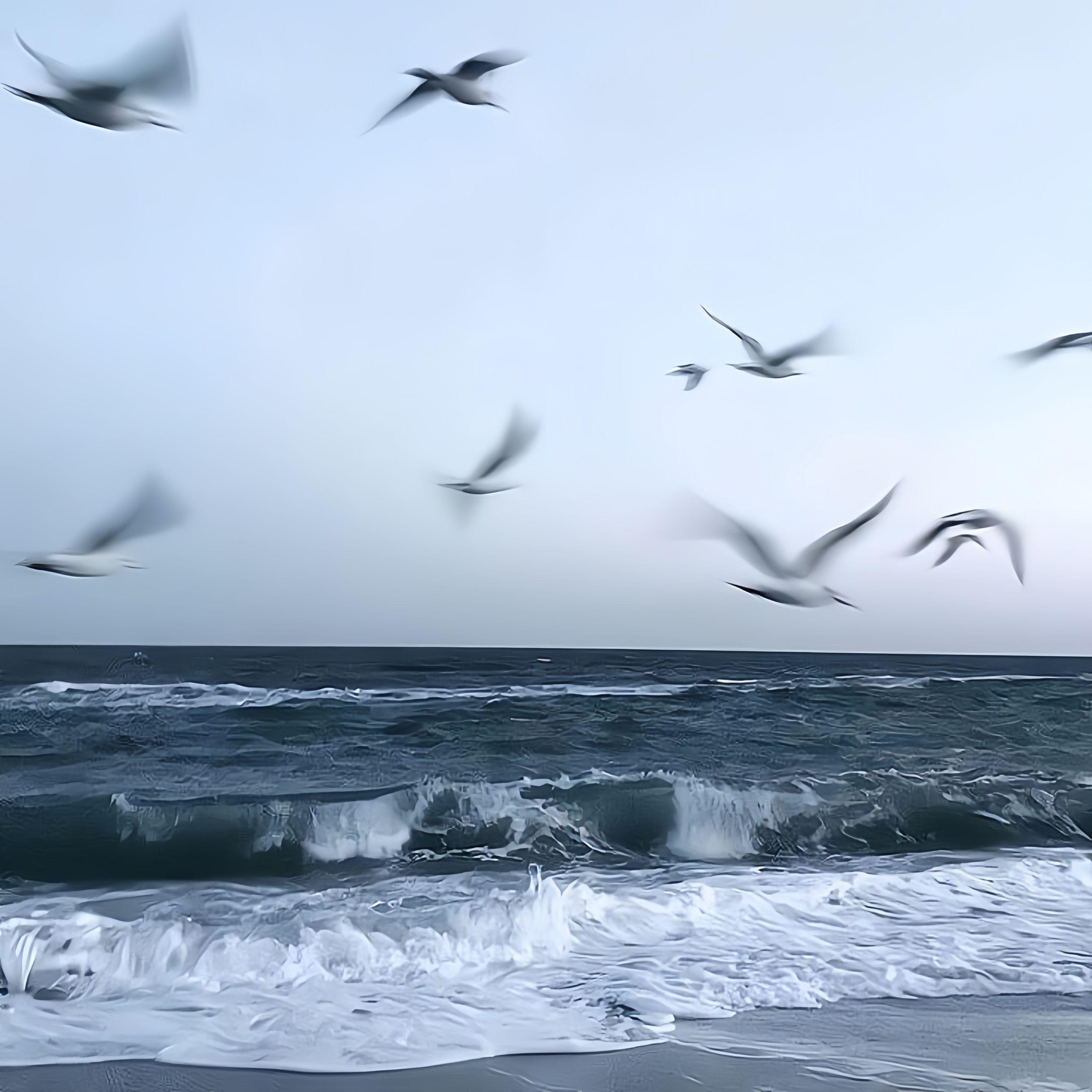 童话（CVPPY remix）