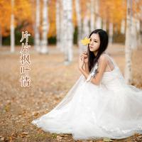 陪你去漂泊(笔尖新VS缺女生)