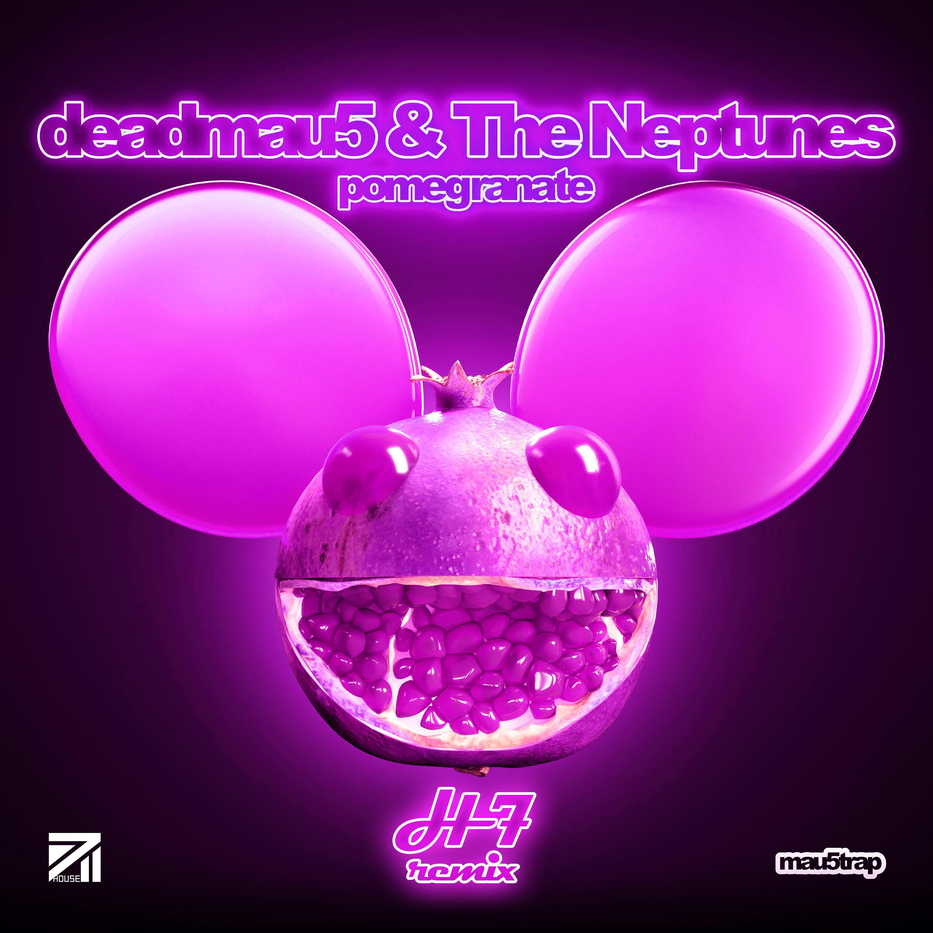 Pomegranate (H7 Remix)