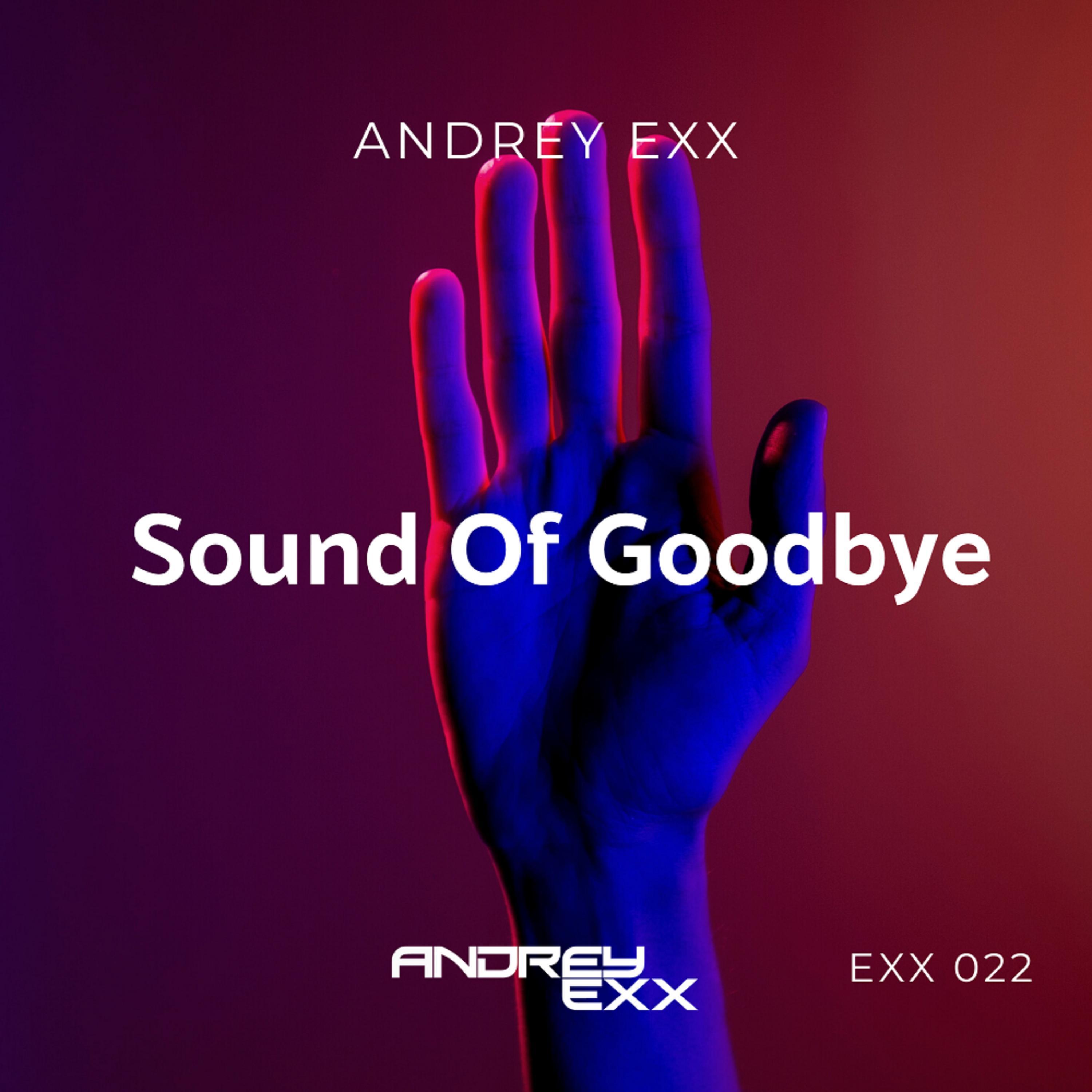 Sound Of Goodbye