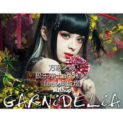 GARNiDELiA - 极乐净土 & 初心(feat.坷垃煜 mashup)