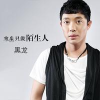 黑龙-来生只做陌生人(演)