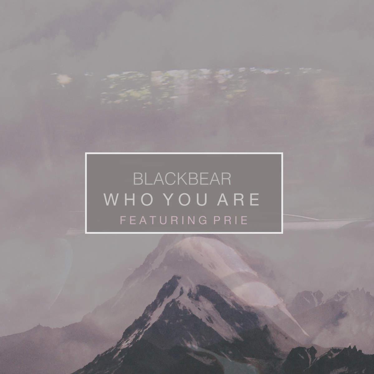 Who You Are (feat. Prie)专辑