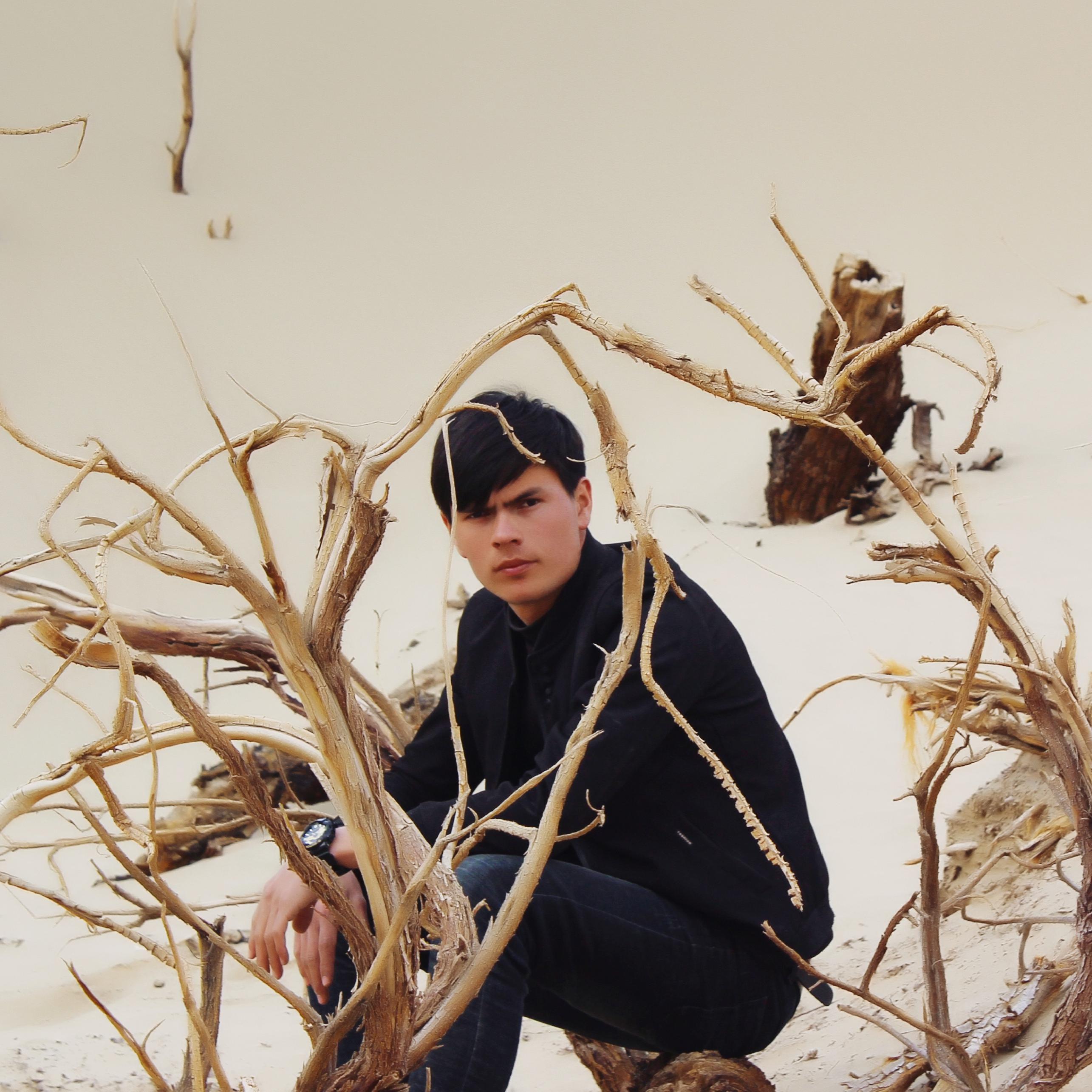 群星-AsLi San Bir Biwapa（tesawur Remix）