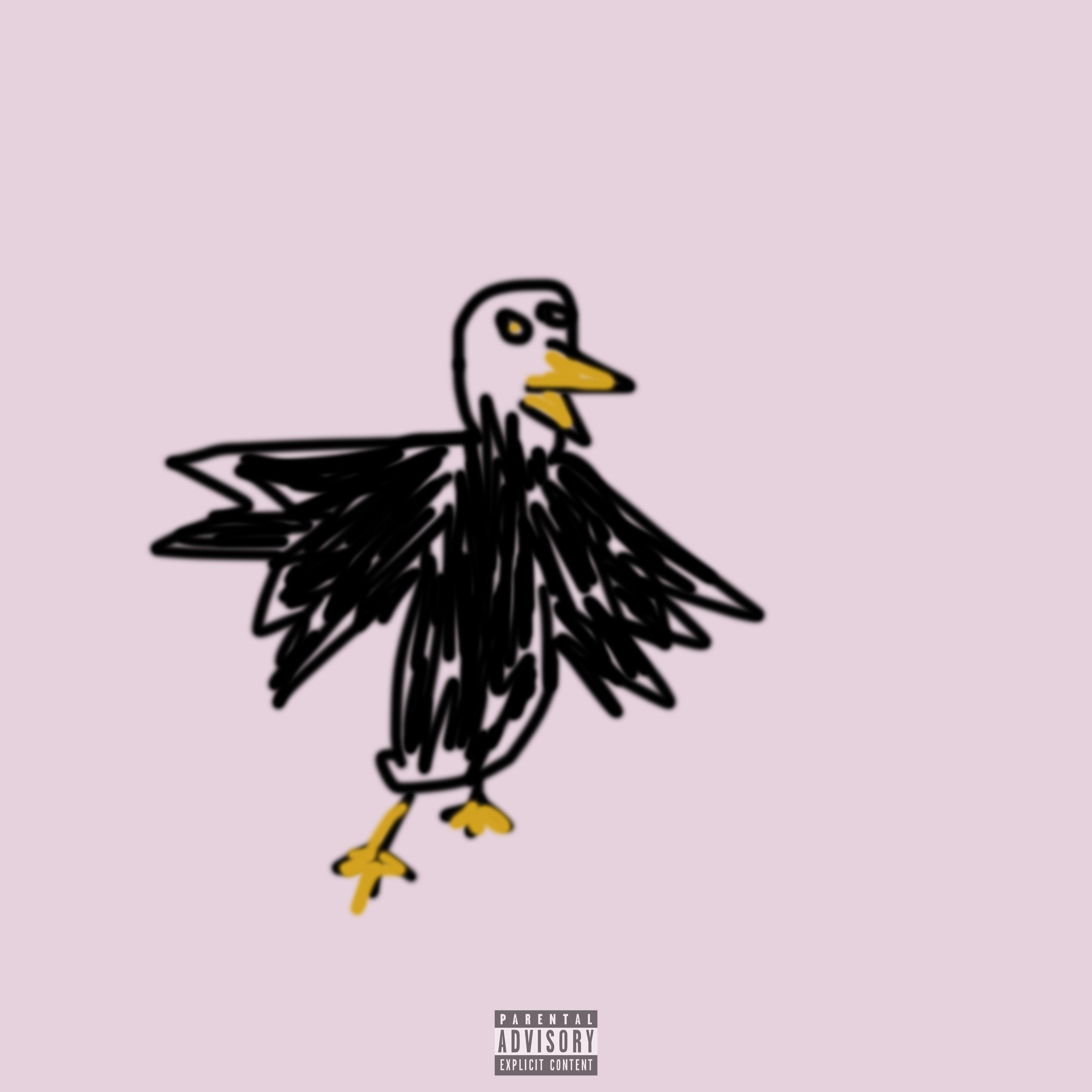 Mocking Bird